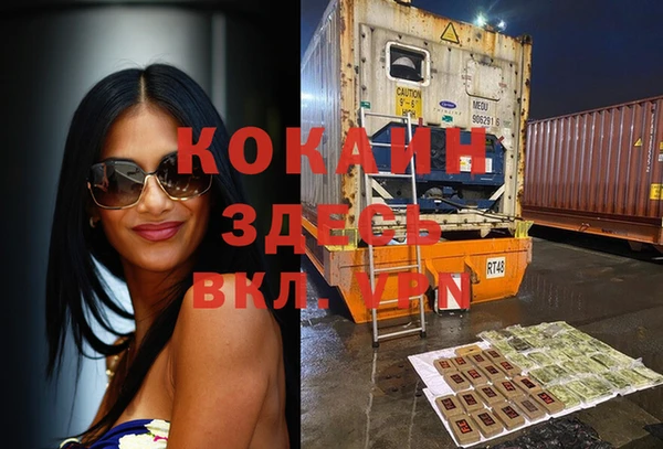 прущие грибы Семикаракорск