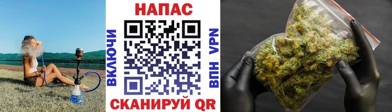 MEGA ТОР  продажа наркотиков  Лянтор  Шишки марихуана SATIVA & INDICA 